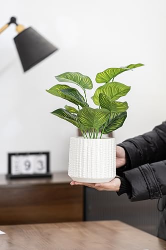 Ceramic Planter Pot with Drainage Hole, 5 Inch Dia, Indoor and Outdoor, Home Patio Garden, Plants&Flowers, Textured Round (White) - style: Textured Round-White