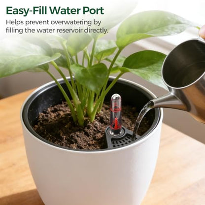 T4U Self Watering Pots 7 Inch Indoor Planters with Water Indicator 2 Pack