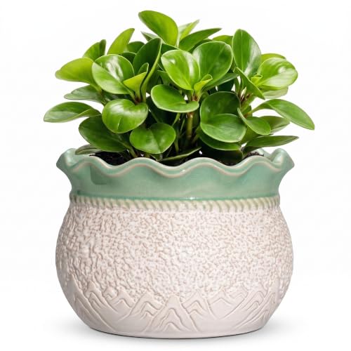 Ceramic Planter, 6 Inch Unique Planters with Drainage, White-Green - color: White-green, size: 6 Inch