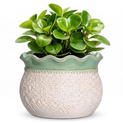 Ceramic Planter, 6 Inch Unique Planters with Drainage, White-Green - color: White-green, size: 6 Inch