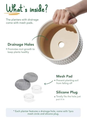 LE TAUCI Succulent Planters, 6.5+8 Inch Ceramic Indoor Plant Pot with Drainage Hole, Shallow Round Succulent Pots, Set of 2, Reactive Glaze White - color: Reactive Glaze White