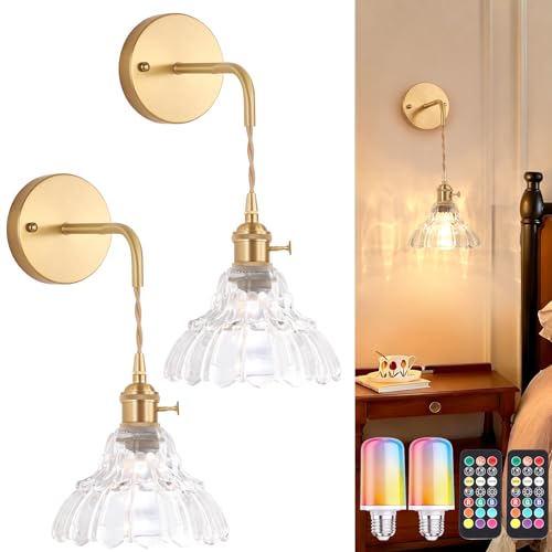 Shenmoyl Vintage Battery Operated wall sconces Set of 2, Wall Lamps with Clear Lily of the Shade Pattern Glass, Adjustable Chain Gold Wall Lights, sconces wall Decor for Stairway Living Room Doorway - color: Lily of the Valley-Clear, size: 2Pack-Battery O