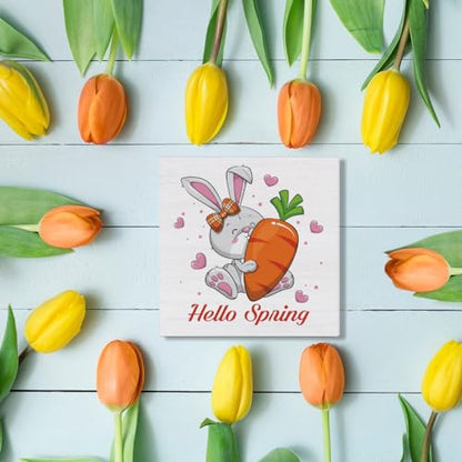 Spring Decor Hello Spring Bunny Wooden Sign, Farmhouse Spring Desk - color: a-5