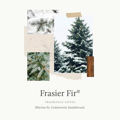 Thymes Frasier Fir Pine Needle Candle – Holiday Candles for Home Scented with Notes of Crisp Siberian Fir, Cedarwood & Sandalwood – Christmas Decor (2 oz) (Pack of 2) - size: 2 oz (Pack of 2)