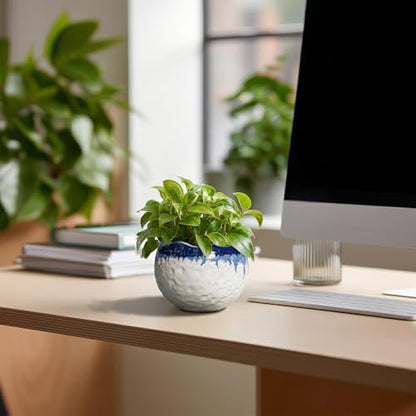 4 Inch Plant Pots, Ceramic Pots for Plants, Beige-Blue - color: Beige-blue, size: 4.5 Inch