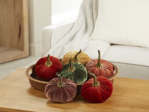 Your Heart's Content Harvest 6.25 inch Velvet Pumpkin (Harvest) - color: Harvest
