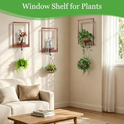3 Pack Solid Wood Hanging Planters for Indoor Plants Wall Decor with Hooks