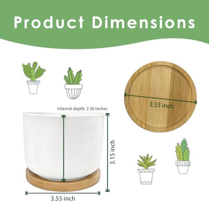 Inspirational Mental Health Gifts Plant Pots Planters - color: Style a -L