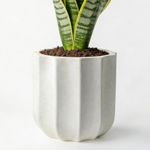 12 Inch Pots for Plants, Large Ceramic Planter with Drainage Hole - color: White 12"
