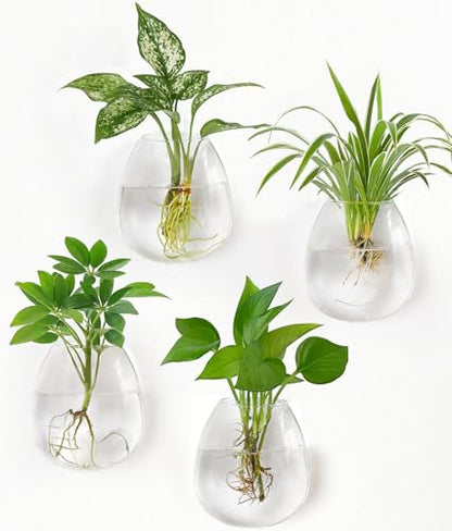 Dahey Wall Propagation Vases, 4 Pack Oblate Borosilicate Glass Planters