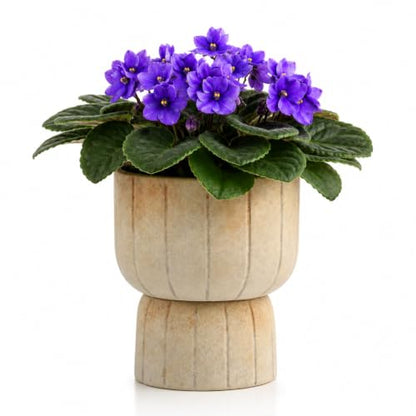Self Watering Pots for Indoor Plants, 6 Inch Ceramic African Violet Pot - color: Yellow 6"