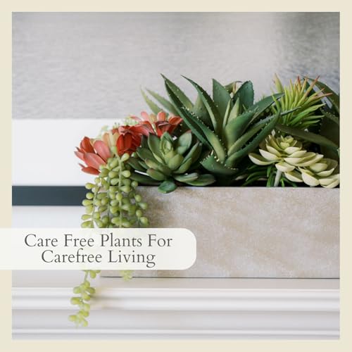 CG Hunter, Oblong Faux Succulent Arrangement, 27 in, Natural, Home Decor - size: 27" Oblong Natural