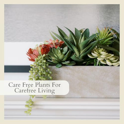 CG Hunter, Oblong Faux Succulent Arrangement, 27 in, Natural, Home Decor - size: 27" Oblong Natural