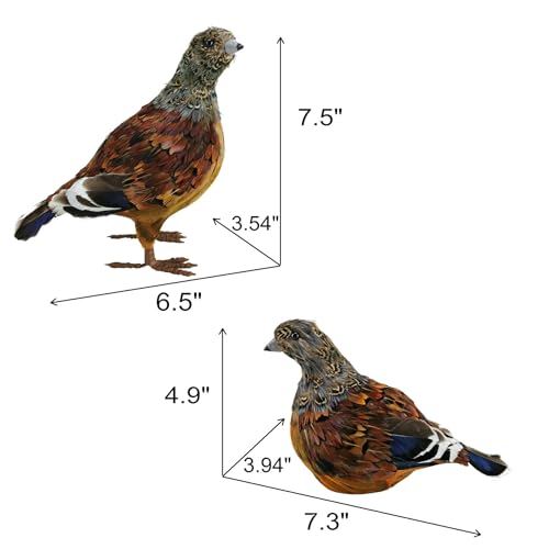 naturevibe 7.5 Inches Feathered Quail Set of 2 Fall Decorations - style: Quail Decor-Set of 2