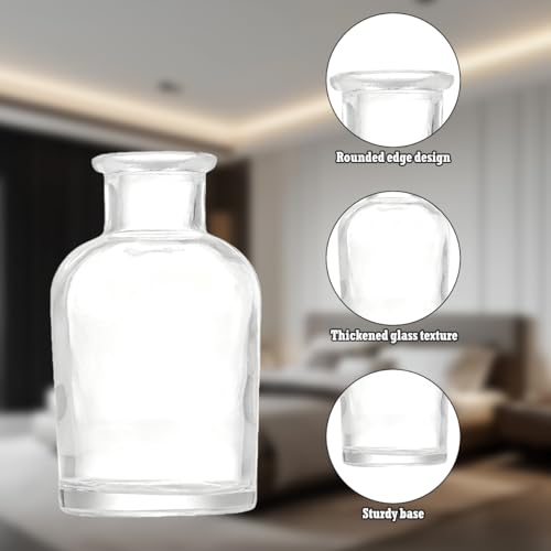 20 Pcs Glass Bud Vase in Bulk, Glass Bottles Table Decoration