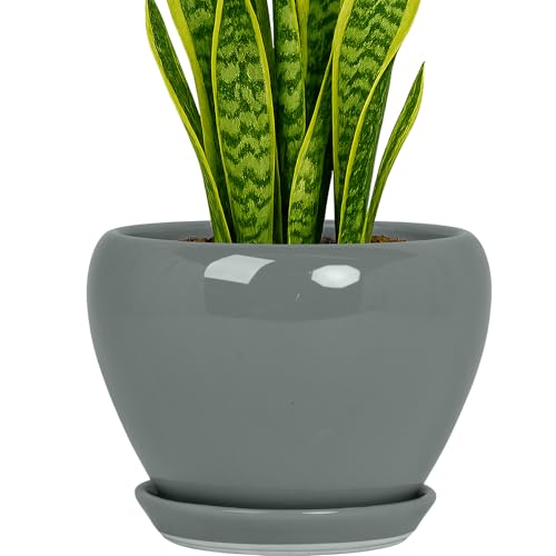 Deep Dream 8 Inch Plant Pots- Ceramic Pots for Plants with Drainage Hole and Saucer, Large Planter Pot for Indoor Plants Outdoor Decor, Grey - color: Gray, size: 8 Inch