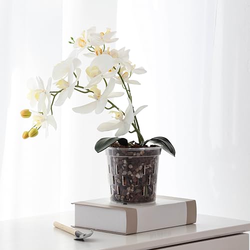 TRUEDAYS Orchid Pot, 6 Pack 6 Inch Plant Pot with Drainage - size: 6Inch-6Pack