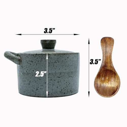 8 oz Ceramic Salt Cellar with Lid & Wooden Spoon,Countertop Salt Container,Sugar Bowl,Spices Jar| Artisan Kitchen Decor(Gray) - color: Gray