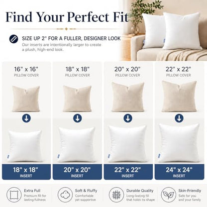 Leeden 24x24 Throw Pillow Inserts Set of 2-100% Cotton Cover - size: 24x24 Inch