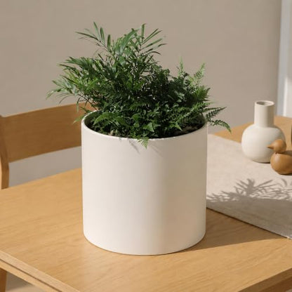 10 Inch Beige Metal Plant Pot with Drainage Hole, Indoor Outdoor - color: 10 Inch Beige