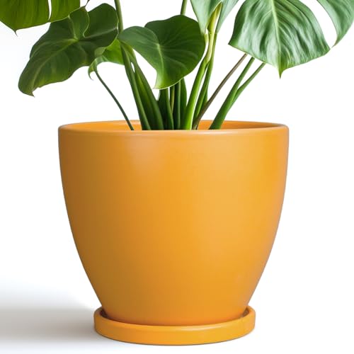 Ceramic Plant Pot - 8 Inch Planter for Indoor Outdoor Plants, Round Flower Pots with Drainage and Tray, Home Office Decor, Orange - color: Glossy Orange, size: 8 Inch