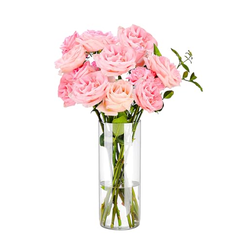 Clear Flower Vase, Non-breakable Vases, 6" W x 16" H, Acrylic Vase, Aesthetic Room Decor Cylindrical Modern Flower Vases for Table Centerpiece, Home Decor, Women Floral Arrangement Gift - color: Clear, size: 6" W x 16" H