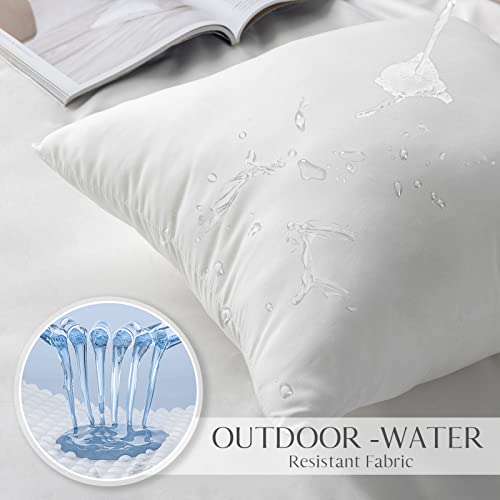 Ashler Outdoor Pillows, 18 x 18 Waterproof Pillow Inserts Set of 4 - size: 18 X 18 Inches - 4 Count