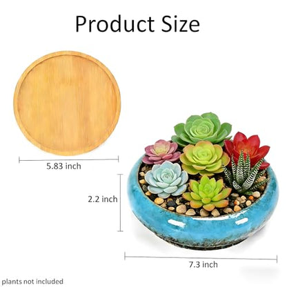 Succulent Pots, 7.3 Inch, Round Large Shallow Flower Plant Pots