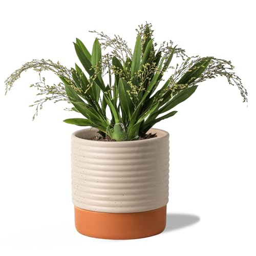 8 Inch Ceramic Self Watering Planter with Drainage Hole, Beige