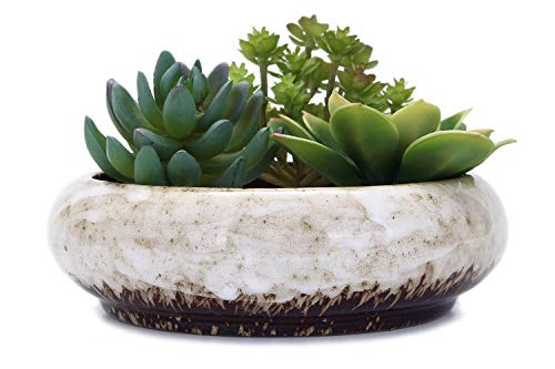 VanEnjoy 7.3 inch Round Large Shallow Succulent Ceramic Glazed Planter Pots with Drainage Hole, Bonsai Pots Garden Decorative Cactus Stand Flower Container (White) - color: White