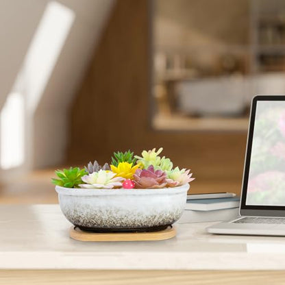 Succulent Pots, 1 Rectangle Planter + 1 Ceramic Bonsai Pots with Drain Tray - color: White