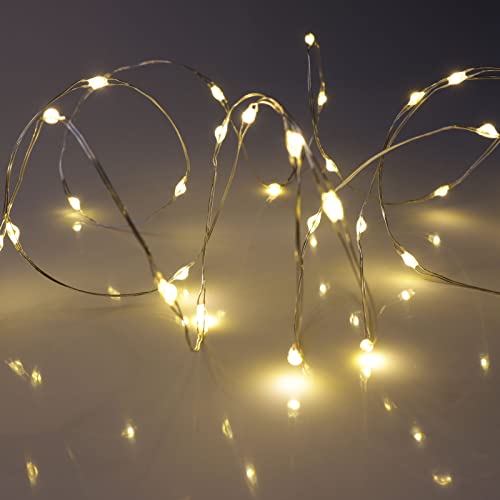 QBIS Warm White Christmas Lights Battery Operated, 40 Micro LEDs 6.5ft - size: 1PK-40 Warm White