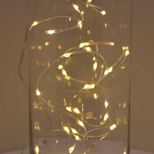 QBIS Warm White Christmas Lights Battery Operated, 40 Micro LEDs 6.5ft - size: 1PK-40 Warm White