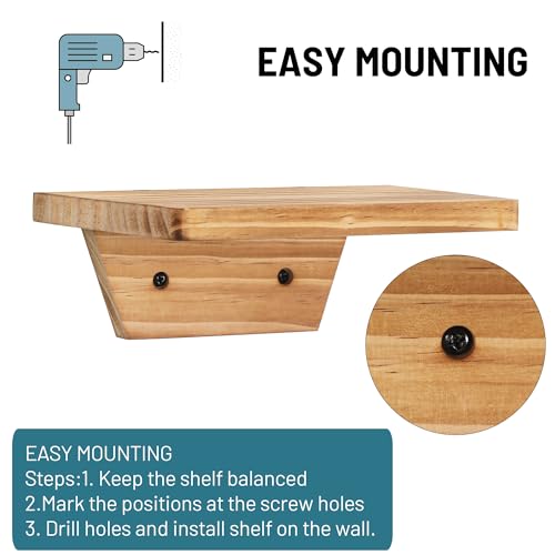 Small Wall Shelves,Speaker Shelf,Floating Shelf Trapezoid for Wifi Router - color: Carbonized Brown, size: Set of 4