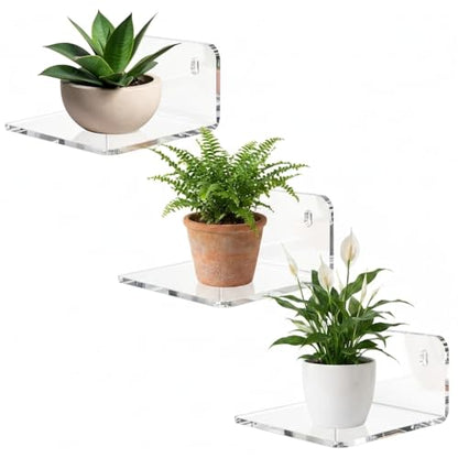 Small Wall Shelf, Acrylic Wall Shelves Display Ledges for Storage & Decoration, Small Floating Shelf for Wall (3)