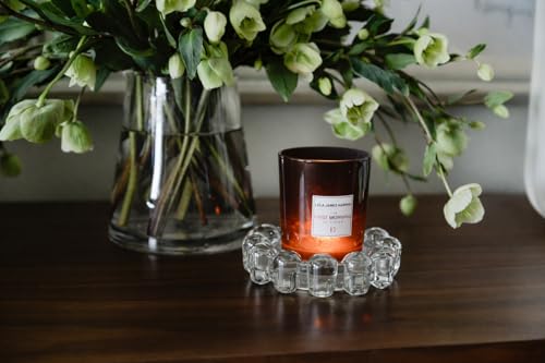Alice Lane Home Collection Original Clear Glass Small Bubble Candle Dish - color: Clear, size: Small