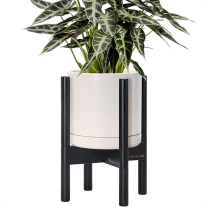 D'vine Dev Ceramic Pot with Ebony Wood Stand, Oatmeal, 8 in, 55-B-M-8 - color: Oatmeal Pot + Ebony Stand, size: 8 Inch