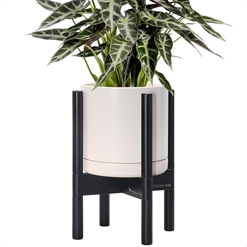 D'vine Dev Ceramic Pot with Ebony Wood Stand, Oatmeal, 8 in, 55-B-M-8 - color: Oatmeal Pot + Ebony Stand, size: 8 Inch