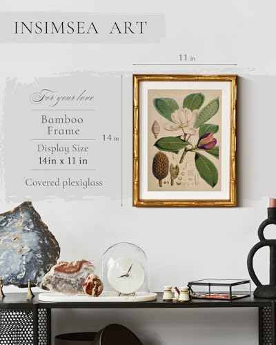 InSimSea Gold Bamboo Framed Wall Art,Retro Magnolia Botanical Print,11x14In - color: Magnolia