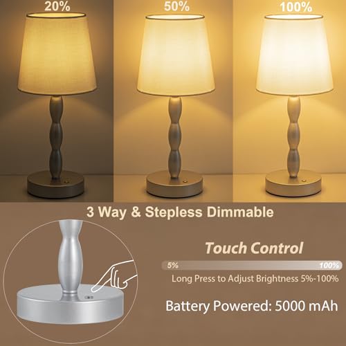 CASTLELIFE Rechargeable Cordless Table Lamp, 5000mAh Battery Powered Touch Desk Lamp, 3-Level & Stepless Dimmable Night Light, Portable Bedside Lamp for Bedroom, Outdoor, Bulb Included, Silver - color: Silver