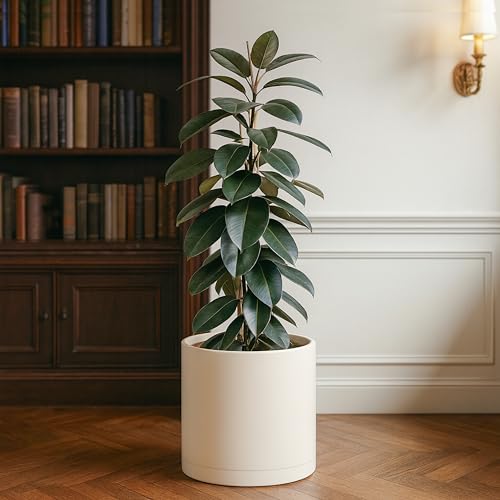 D'vine Dev Plastic Planter Pot with Saucer, 14 in, Oatmeal, 74-X-H-4 - color: Oatmeal, size: 14"