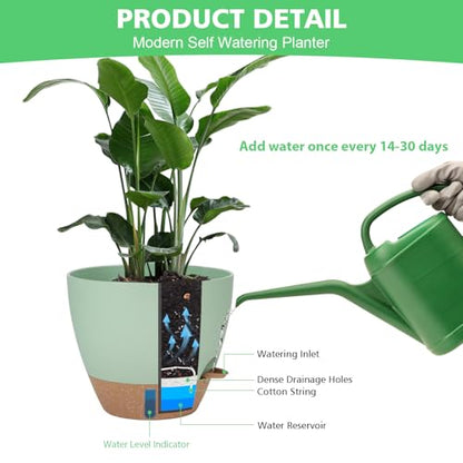 Self Watering Planter Set with Visual Water Level, 6Pack Small Plastic Pot with Drainage Holes and Reservoir Saucers, Modern 8+7+6.5+6+5.5+5 Inch Bottom Watering Flower Pots for Indoor Plant - Green - color: Green-small
