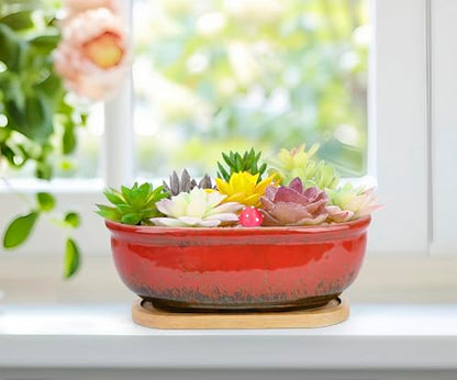 Succulent Pots, 1 Rectangle Planter + 1 Ceramic Bonsai Pots with Drain Tray - color: Red