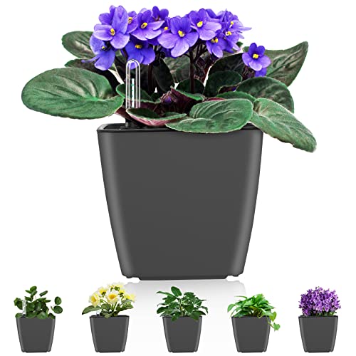 Self Watering Planters for Indoor Plants : 5 inch 6 Pack Grey Planter with Water Level Indicator African Violet Self Watering Flower Pot for Herb Pot House Plant Planting - color: Grey Pack of 6
