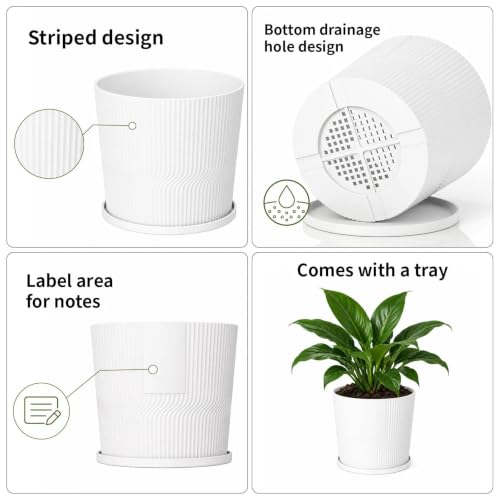 2 Plant Pots Indoor,4.8''+5.5'' Small Flower Pots with Saucers & Drainage - color: White, size: 4.8''+5.5''