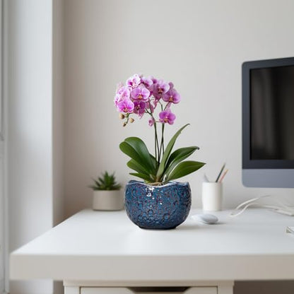 6 Inch Plant Pot, Ceramic Pots for Plants, Retro Blue - color: Retro Blue, size: 6.2 Inch