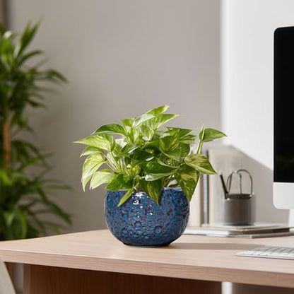 6 Inch Plant Pot, Ceramic Pots for Plants, Retro Blue - color: Retro Blue, size: 6.2 Inch