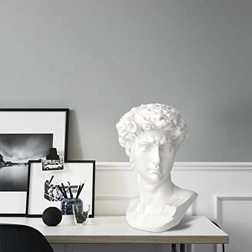 Norrclp 11in Greek Statue of David, Classic Roman Head Bust - color: David-11in