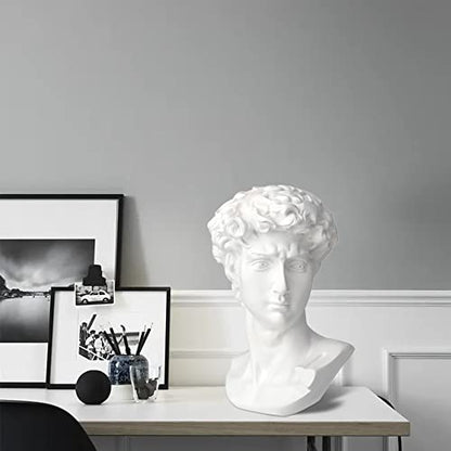 Norrclp 11in Greek Statue of David, Classic Roman Head Bust - color: David-11in