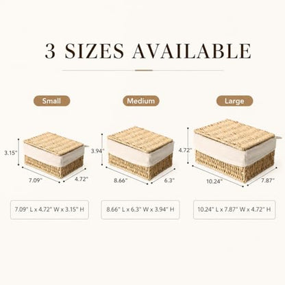 Storage Baskets with Lids Set of 3, Woven Bins with Liner - size: Small with Lids
